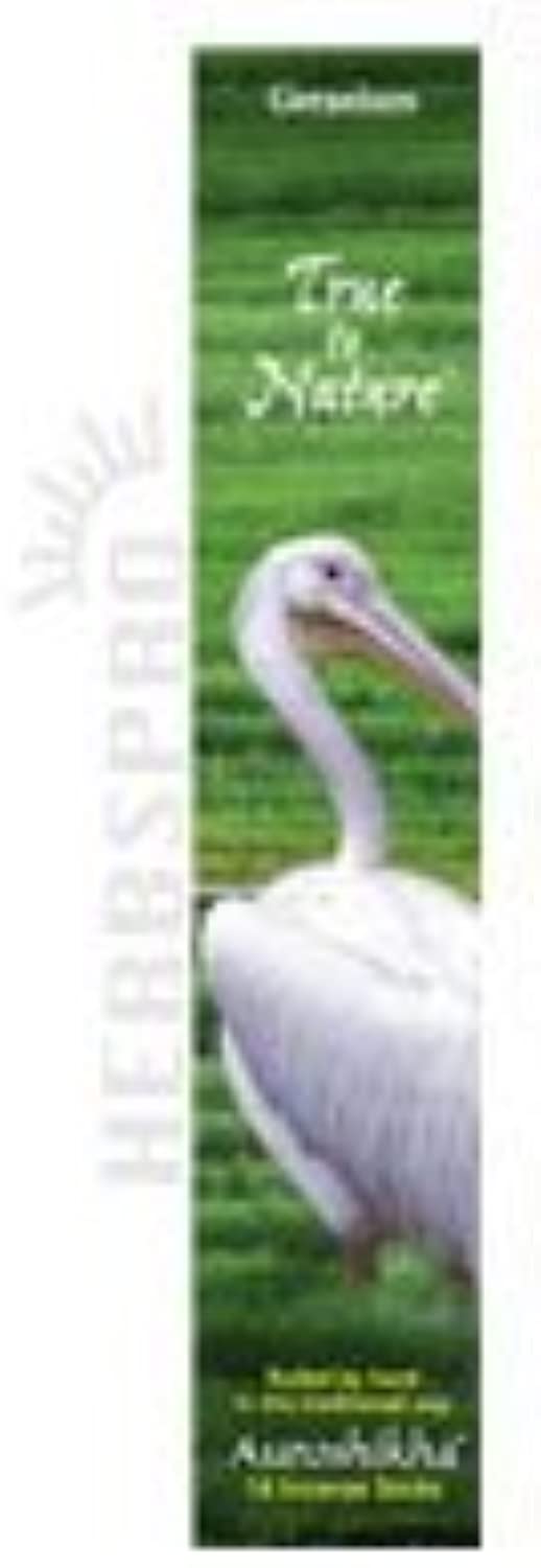 079565001111-AUROSHIKHA CANDLES & INCENSE-Incense Geranium (Joie du Soliel)