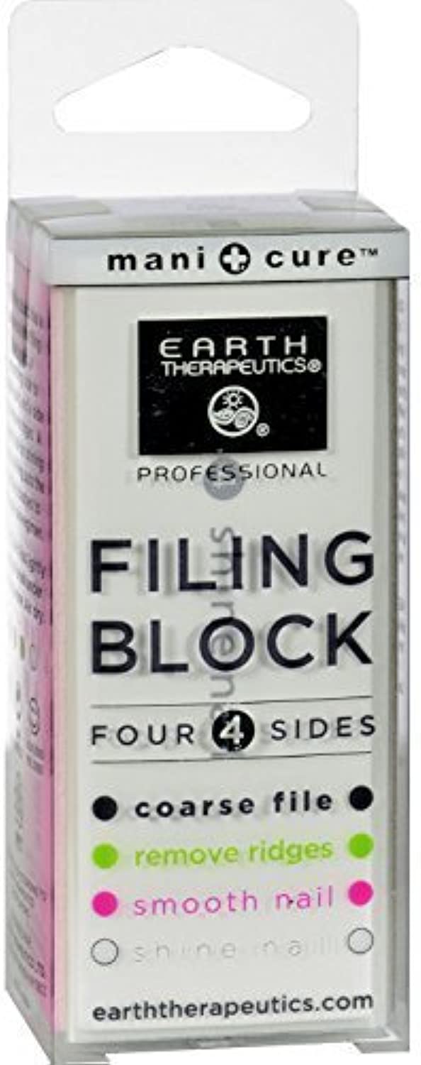 073377071072-EARTH THERAPEUTICS-Four Surface Filing Block
