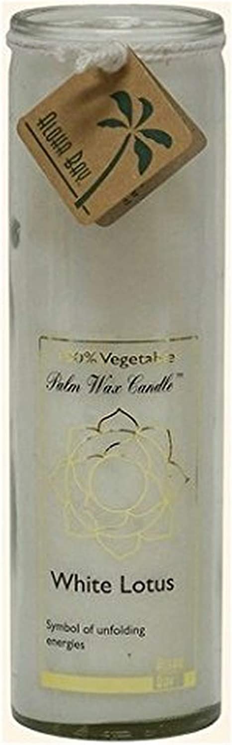 760860201008-ALOHA BAY-Candle Chakra Jar Unscented White
