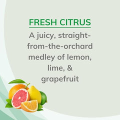 Citrus Magic Natural Odor Eliminating Air Freshener Spray, Fresh Citrus, 6-Ounce