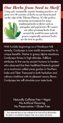 Bravo Tea Cordyceps Mushroom Herbal Tea, Caffeine Free 20 Tea Bags