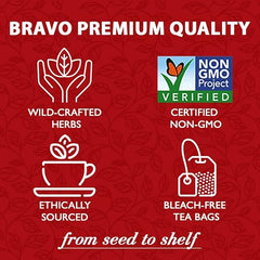 Bravo Tea Absolute Ginger Herbal Tea Caffeine Free, 20 Tea Bags, 1 Count