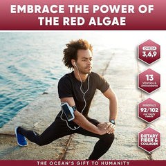 Atlantic Naturals Sea Moss with Beet Root Capsules - Premium Quality Sea Moss Supplement - Sea Moss Superfood to Support Immune Health, Blood Flow, Joint Health & Athletic Performance - 120 ct