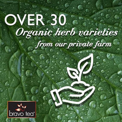 Bravo Tea Triple Joint Relief Caffeine Free 20 Tea Bags