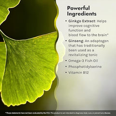 Irwin Naturals Mental Clarity Information Retention - Enhance Attention, Retain & Recall Information Faster - Brain Support Supplement with Ashwagandha, Ginkgo, Rhodiola & Ginseng - 60 Liquid Softgels