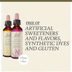 Bach Original Flower Remedies, Hope and Joy Kit, For Comfort and Optimism, Natural Homeopathic Flower Essence, Holistic Wellness, Vegan, 3 x 20mL Droppers