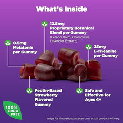 Natrol Kids Sleep+ Calm, Melatonin and L-Theanine, Supplement for Restful Sleep and Calming, Sleep Gummies for Kids, 60 Strawberry-Flavored Melatonin Gummies, 60 Day Supply