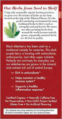 Bravo Tea Absolute Elderberry Herbal Tea Caffeine Free, 20 Tea Bags