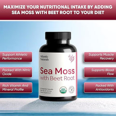 Atlantic Naturals Sea Moss with Beet Root Capsules - Premium Quality Sea Moss Supplement - Sea Moss Superfood to Support Immune Health, Blood Flow, Joint Health & Athletic Performance - 120 ct