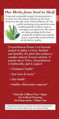 Bravo Tea Absolute Chysanthemum Herbal Tea Caffeine Free, 20 Tea Bags, 1 Count