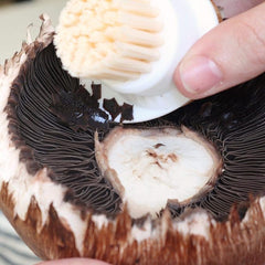 Full Circle FunGuy, 2 in 1 Mushroom Cleaning Brush, White