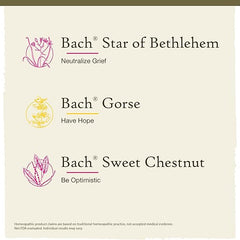 Bach Original Flower Remedies, Hope and Joy Kit, For Comfort and Optimism, Natural Homeopathic Flower Essence, Holistic Wellness, Vegan, 3 x 20mL Droppers