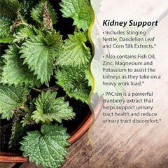 Irwin Naturals 2-in-1 Kidney & Liver Super Cleanse 60 Sgels