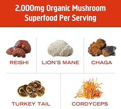 Om Mushroom Superfood Morning Energy Blend Mushroom Powder Drink, Single Serve, 10 Count, Coffee Free Energy Drink with Cordyceps, Vitamin D2, Agaricus Bisporus, Lion's Mane, Rhodiola, and Turkey Tail
