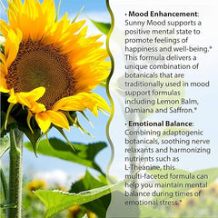 Irwin Naturals Sunny Mood 75 Sgels