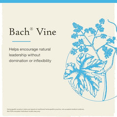 Bach Original Flower Remedies, Vine for Motivation, Natural Homeopathic Flower Essence, Holiday Gift for Him or Her, Vegan, 20mL Dropper