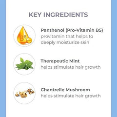 Derma E Biotin Thickening Spray � Hair Volume Spray for Fine Hair � Protein-Enriched Hair Texturizer Spray with Panthenol, Therapeutic Mint and Chanterelle Mushroom, 3.3 Fl Oz