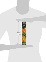Auroshikha Incense, Cedar, 10 Gram