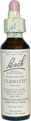 741273204916-BACH FLOWER ESSENCES-Flower Essence Clematis